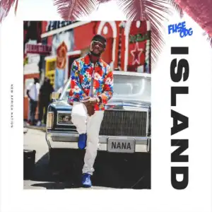 Fuse ODG - Island